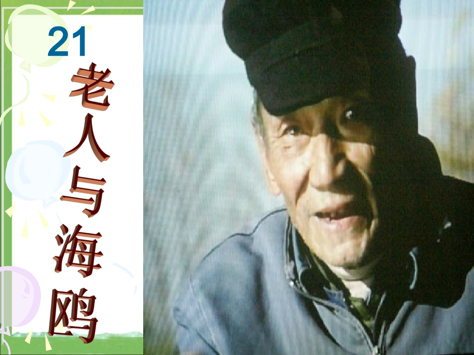 《老人与海鸥》教学课件2_第1页