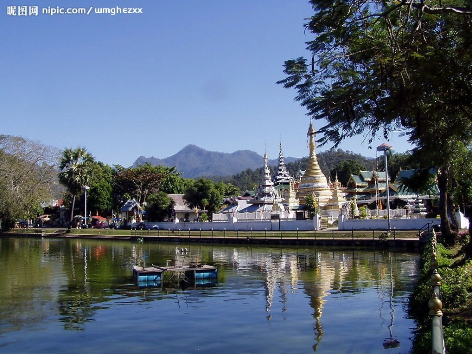 与象共舞修改_第1页