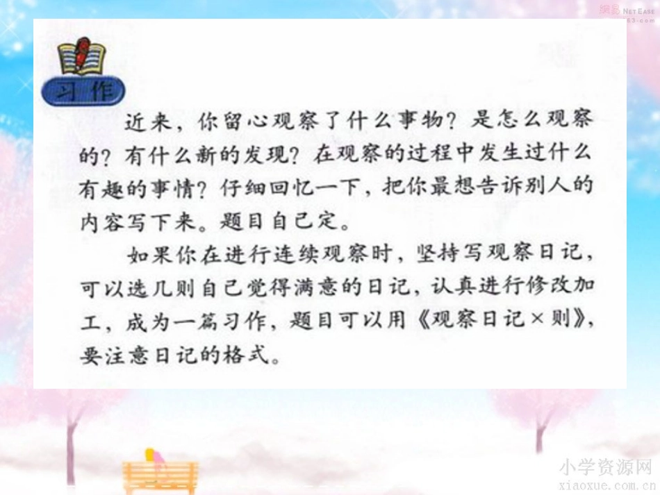 作文指导(泡豆芽观察日记)_第3页