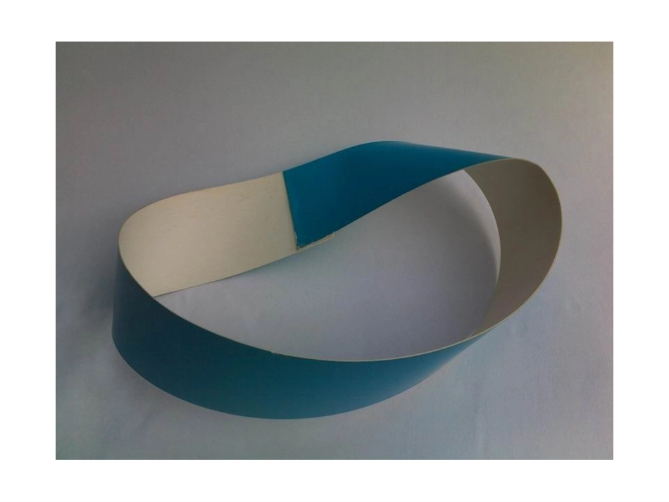 神奇的莫比乌斯圈_第2页