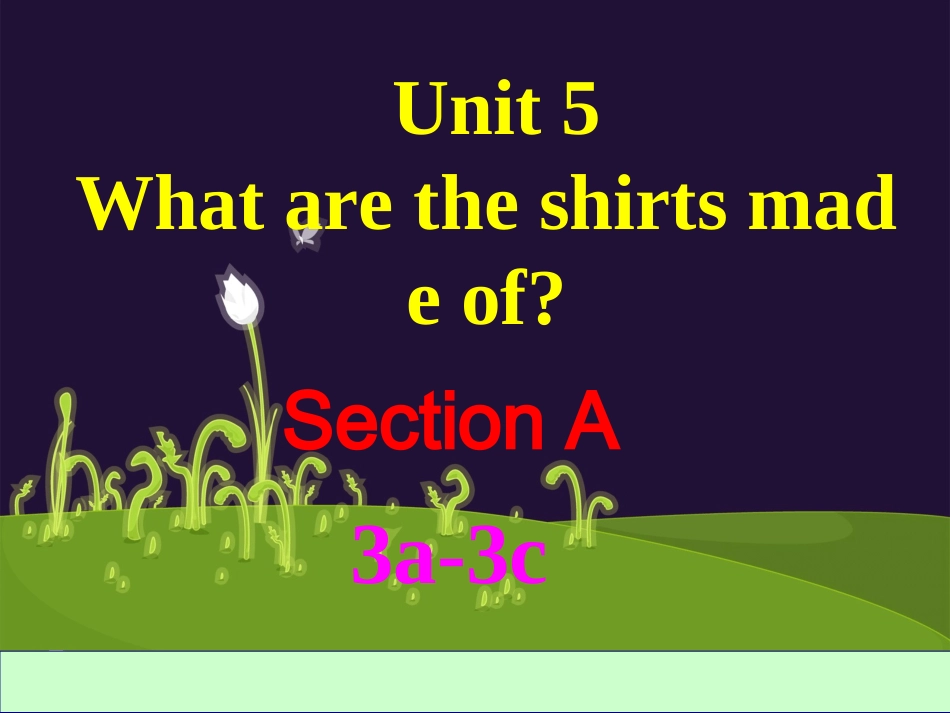2014九年级英语(全一册)Unit5SectionA3a-3c_第3页