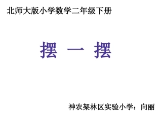 摆一摆（向丽）