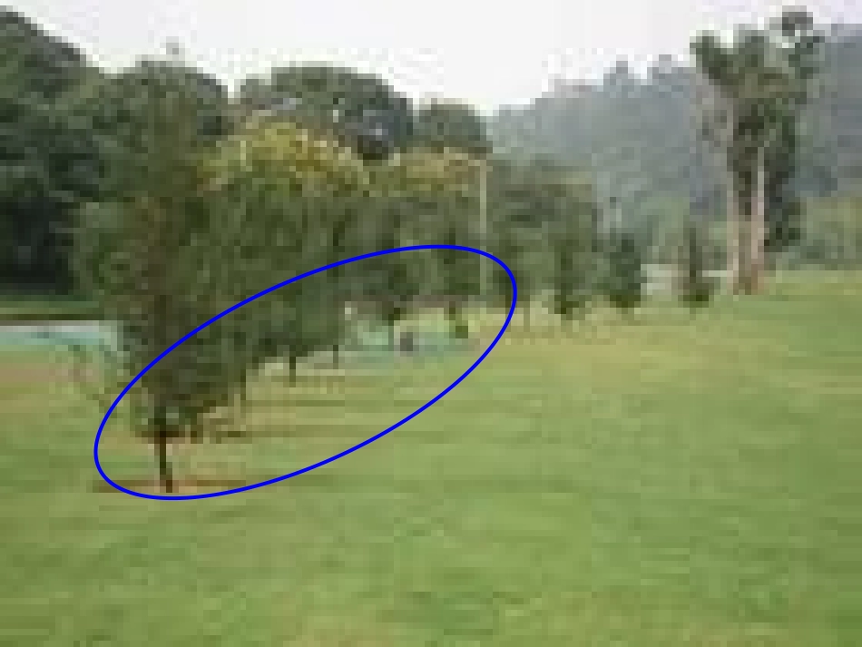 明茹植树问题_第3页