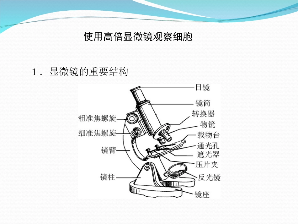 细胞的多样性和统一性好 (2)_第1页