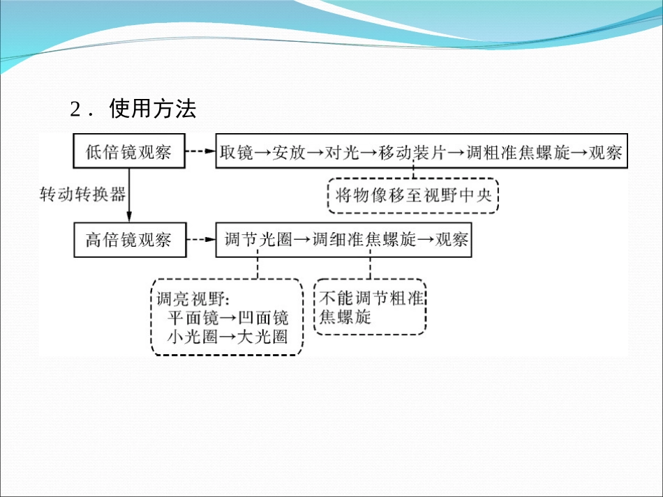 细胞的多样性和统一性好 (2)_第2页