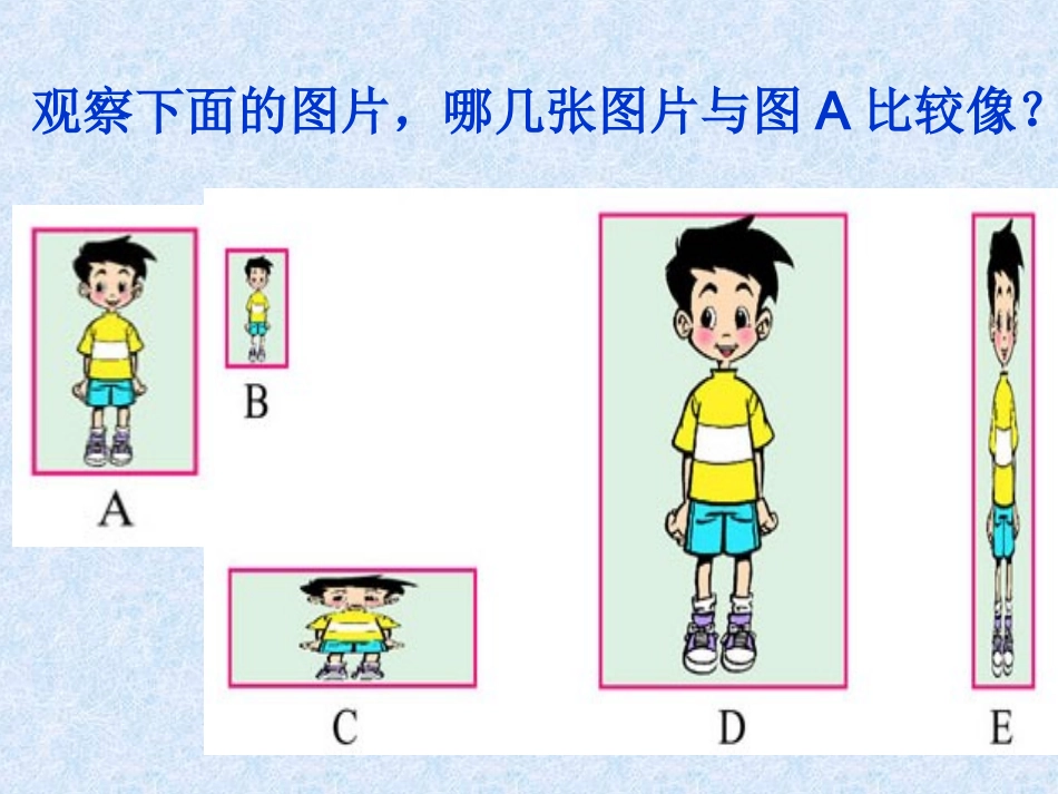 北师大版六年级上册《生活中的比2》教学课件_第2页