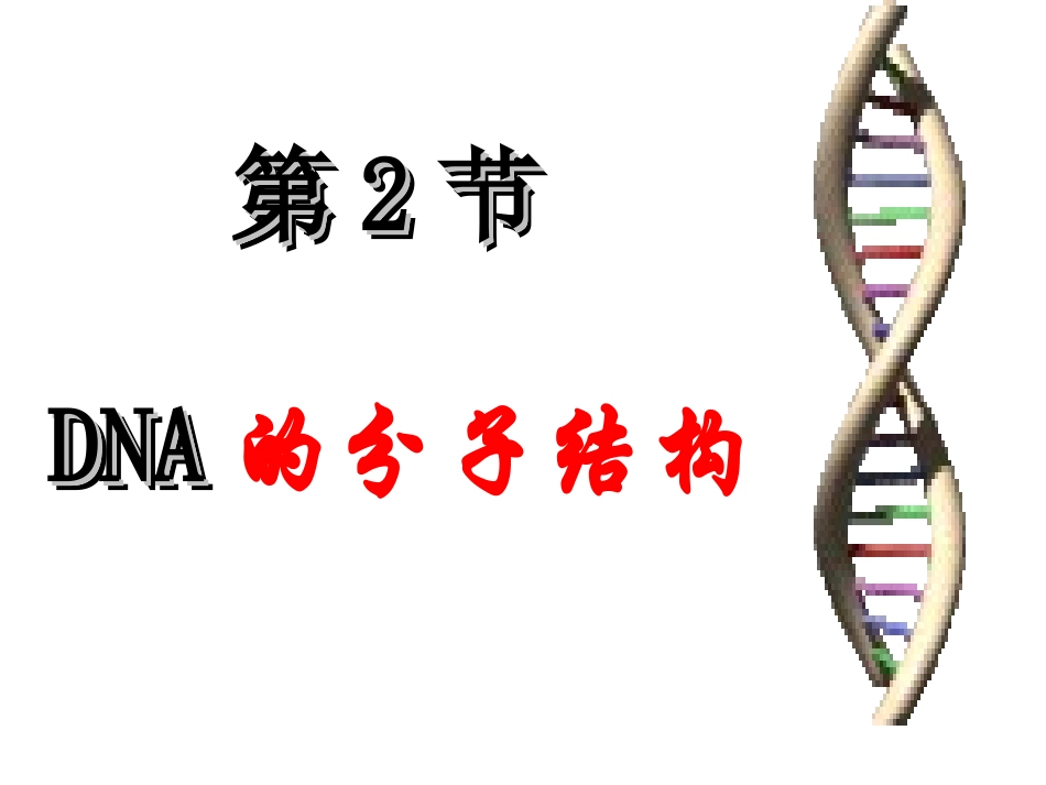 新第2节—DNA分子的结构322_第2页