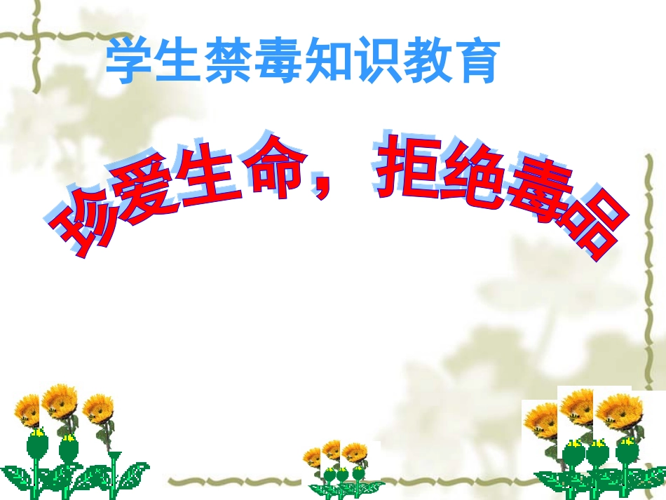 禁毒教育课件_第1页