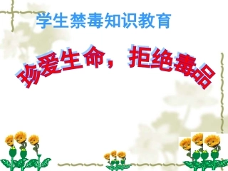 禁毒教育课件