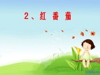 红番茄上课课件