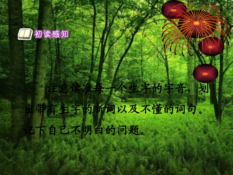 《回声》课件5用_第2页