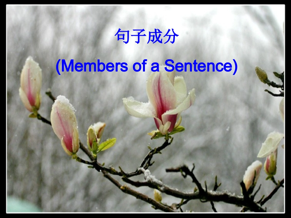 句子结构划分_第1页