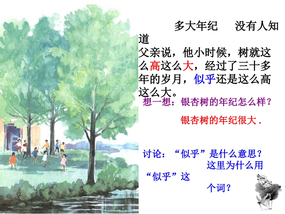 三棵银杏树PPT课件_第2页