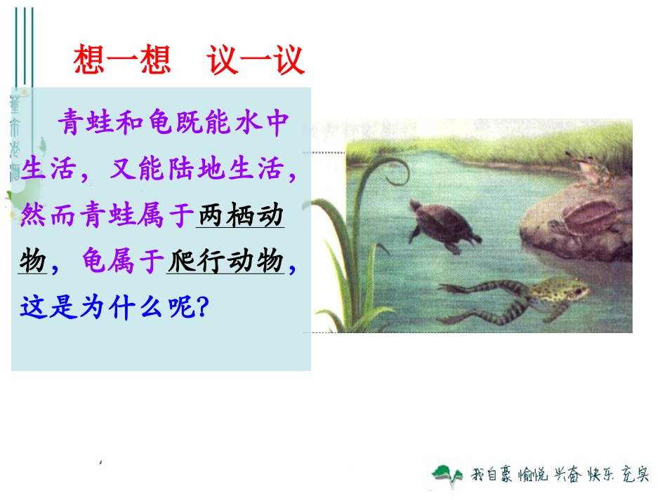 两栖动物和爬行动物 (2)_第2页