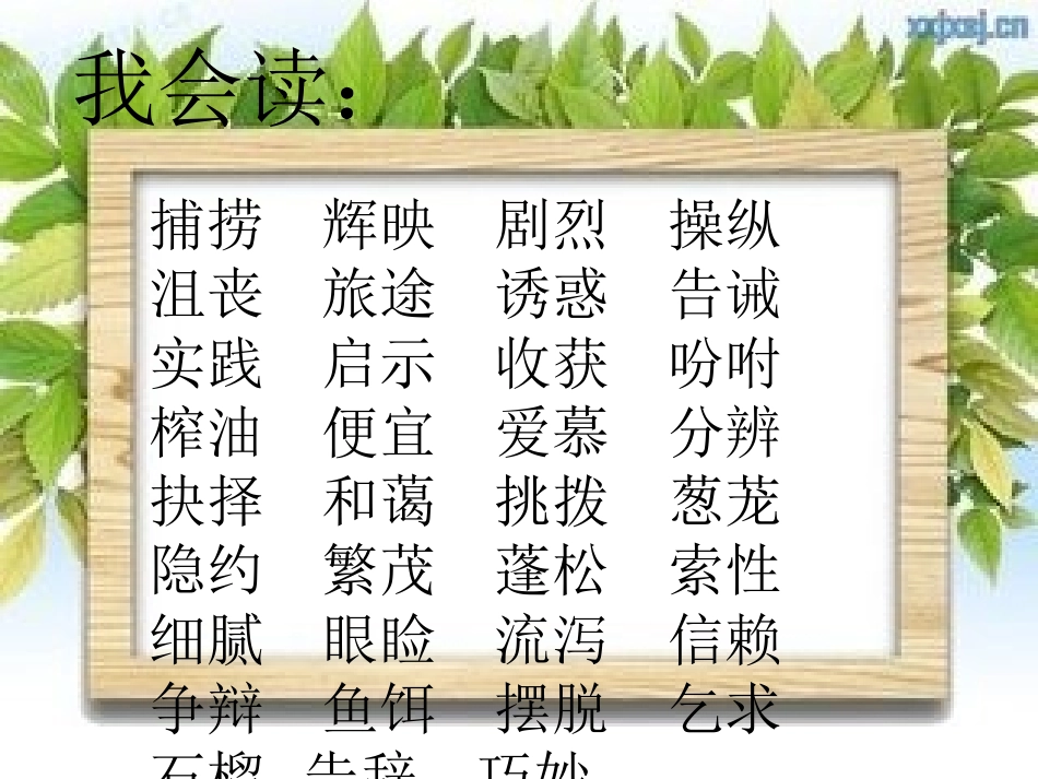 生活的启示第四组_第2页