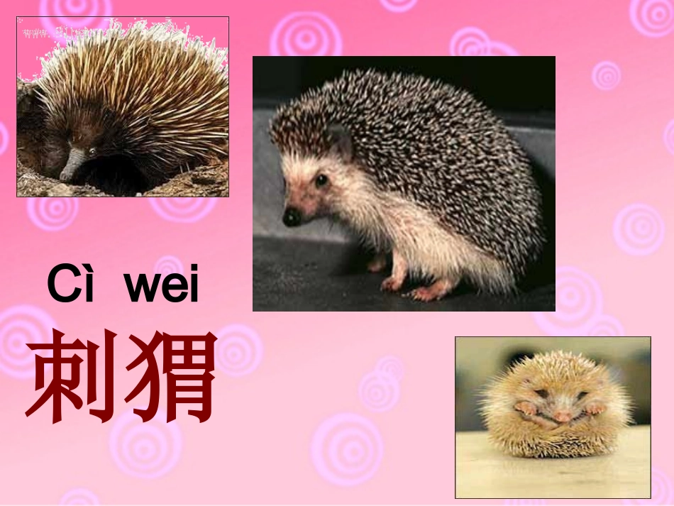 《称赞》课件 (5)_第3页