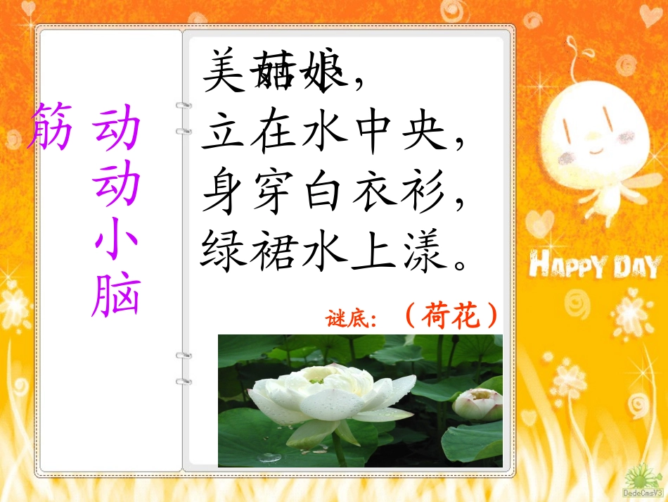 《荷花》PPT课件_第1页