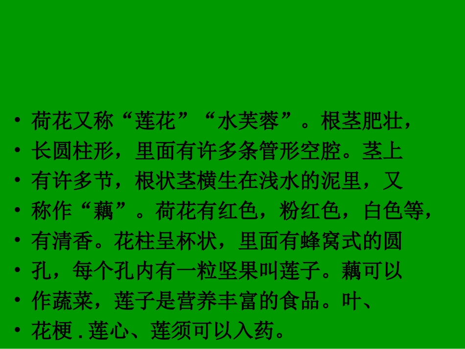 《荷花》PPT课件_第3页