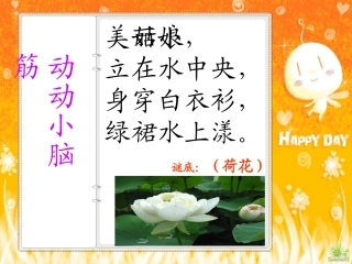 《荷花》PPT课件