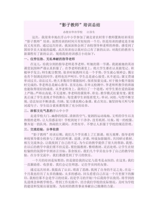 “影子教师”培训总结
