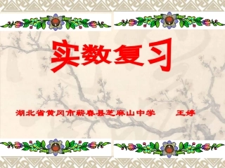 实数复习教学版1