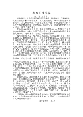 家乡的油菜花