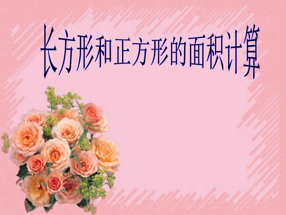 长方形和正方形的面积计算_第1页