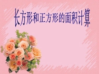 长方形和正方形的面积计算