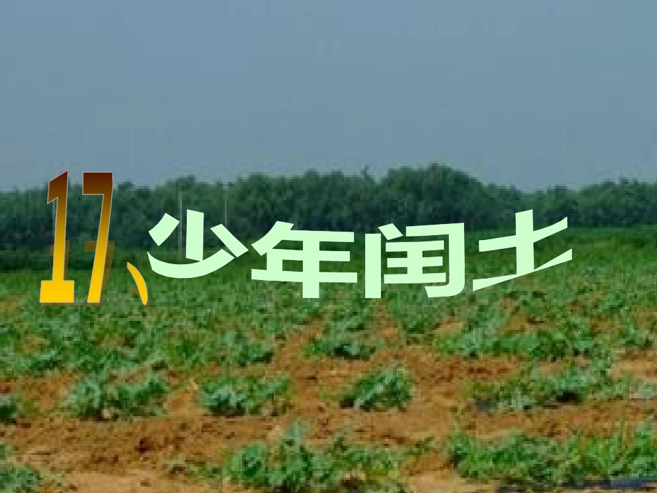 少年闰土xin_第1页