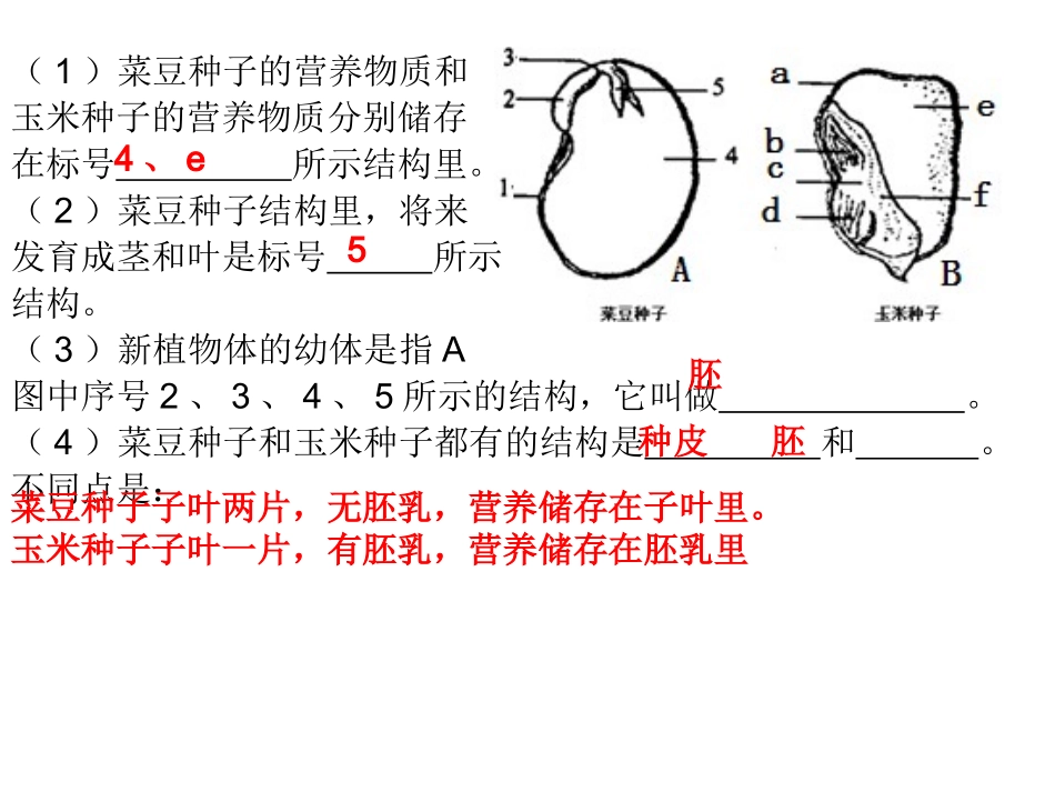 七上过关题(二)答案_第2页