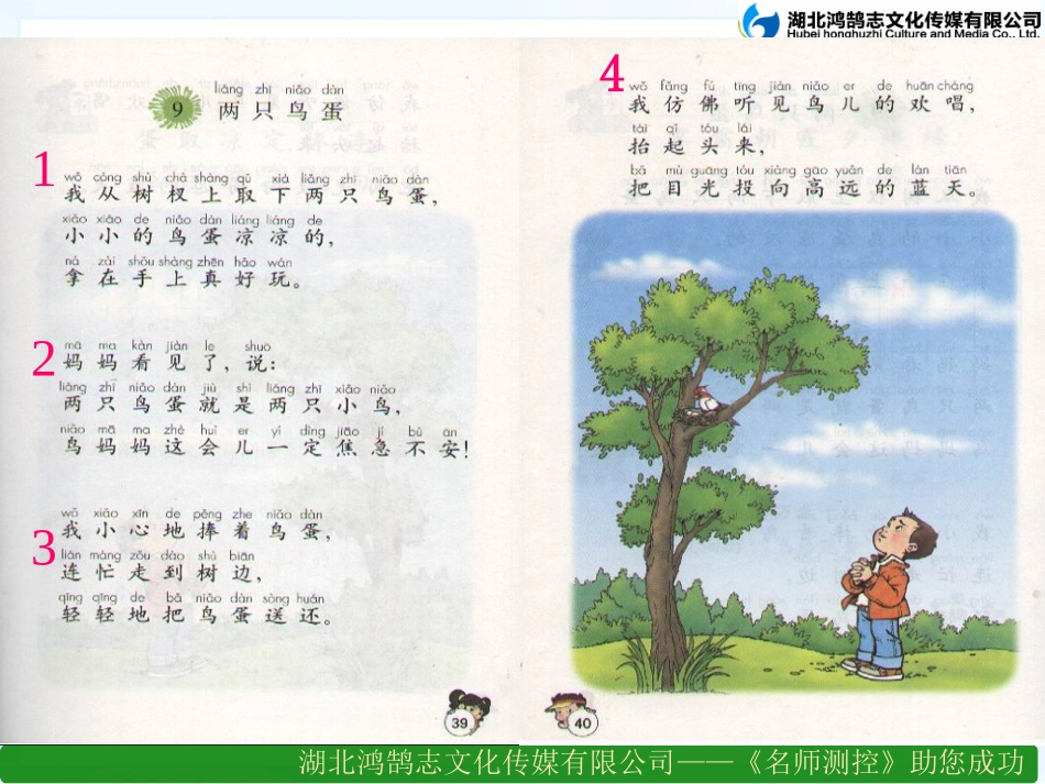 两只鸟蛋课件第课时_第2页