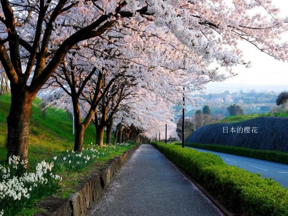 醉人的世界美景_第3页
