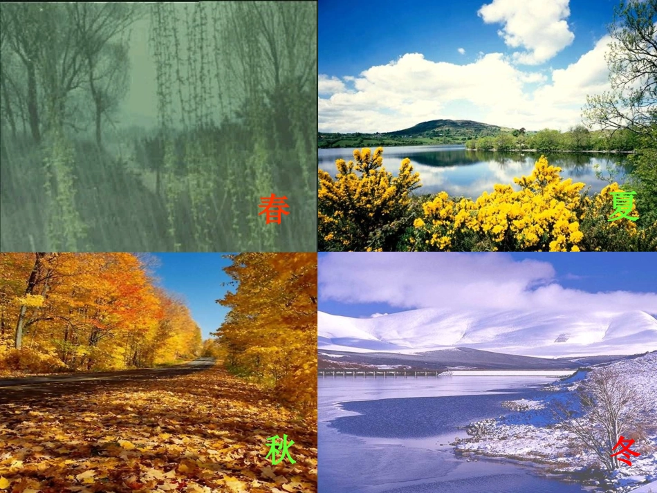 大自然的语言课件_第2页