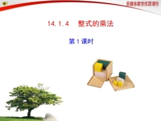 整式的乘法第课时