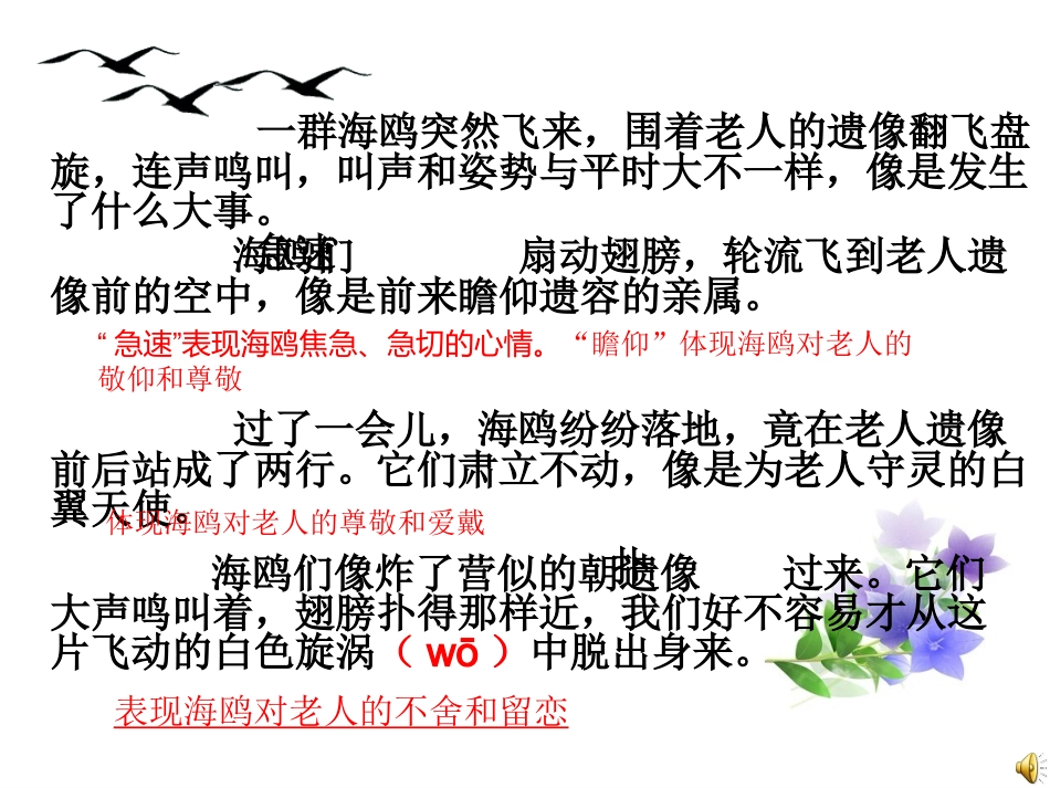 试用《老人与海鸥》教学课件_第2页