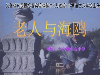 试用《老人与海鸥》教学课件