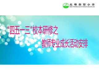 能手、新秀、专家