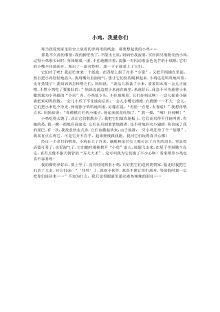 小鸡，我爱你们