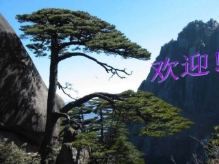 九年级语文心声