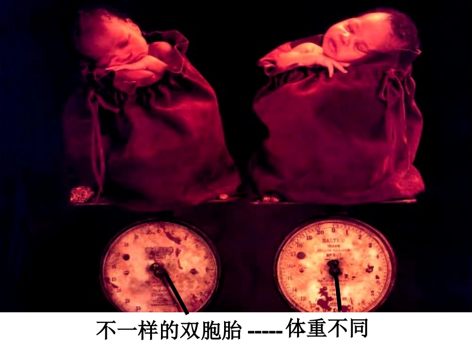 七年级上思想品德第三课第二框人的生命的独特性_第3页