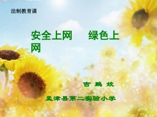 法制课课件安全上网绿色上网