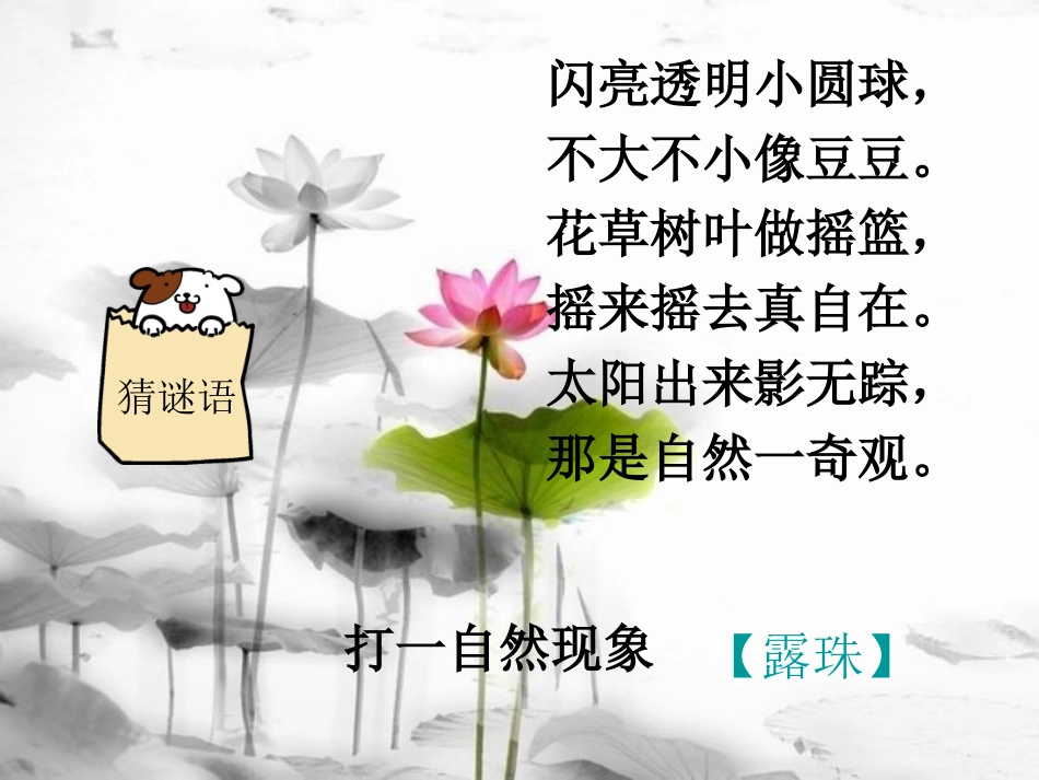 《小露珠》课件(二)_第1页