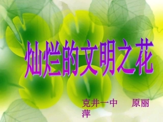 灿烂的文明之花1