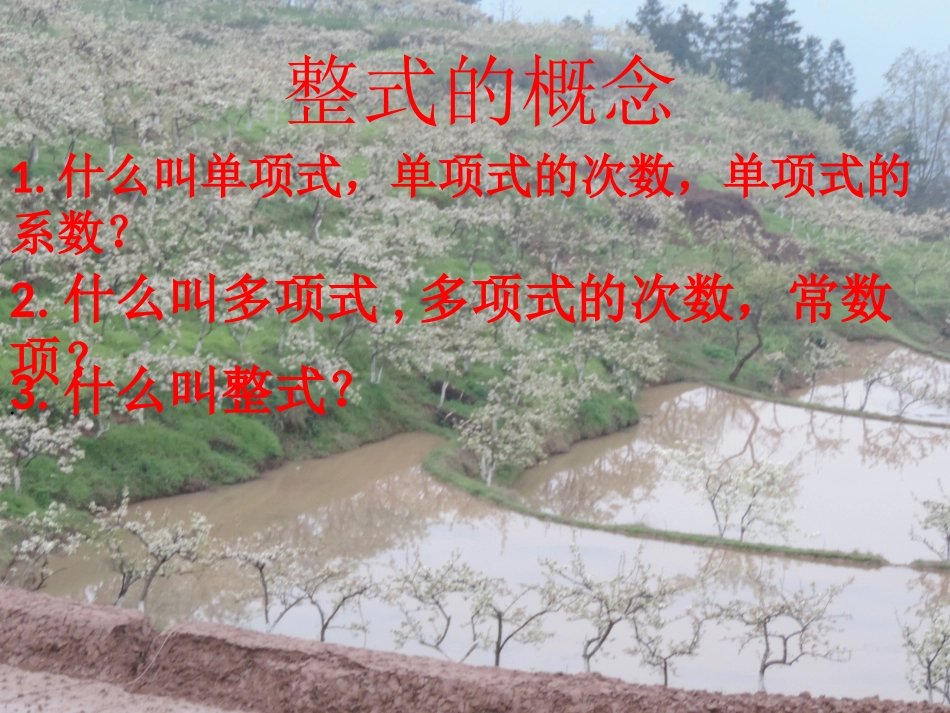 整式复习初稿_第2页