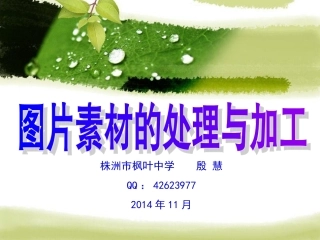 图片信息的采集与加工2014年11月