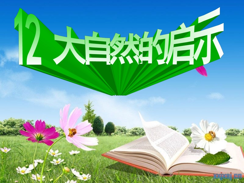 大自然的启示完美版_第1页