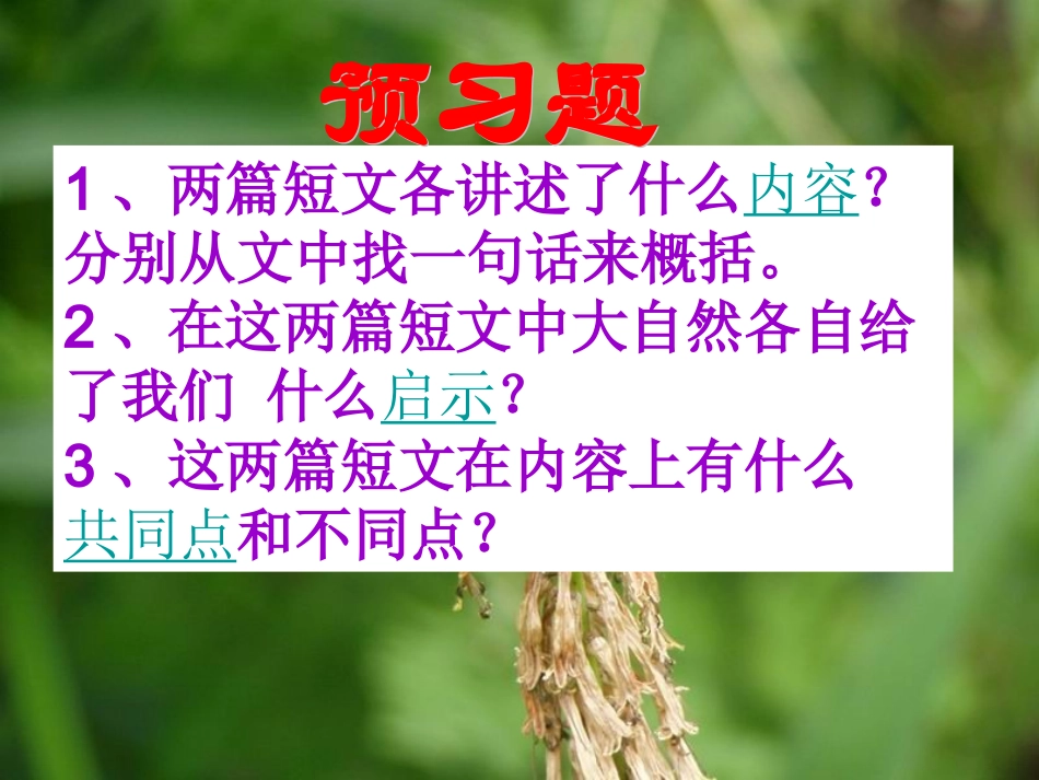 大自然的启示完美版_第3页