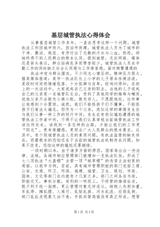 基层城管执法心得体会