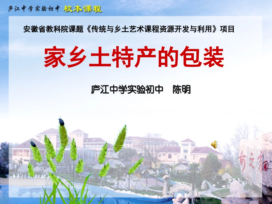 家乡土特产的包装_第1页