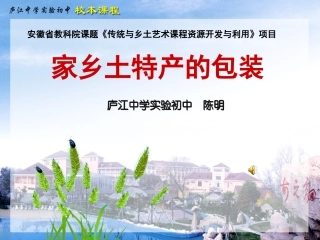 家乡土特产的包装
